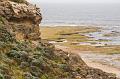 Barwon Heads IMGP4490